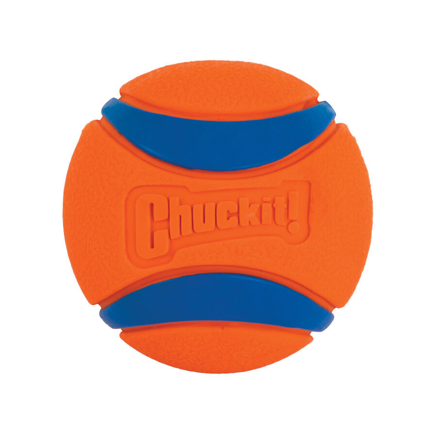 Chuckit! Ultra Pelota Grande con Brillo para perros, , large Imagen numero 4